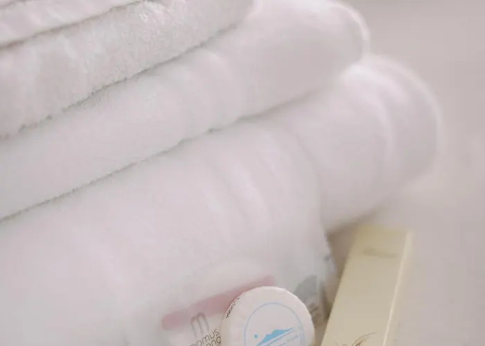 Apartamento Domus Gallery *